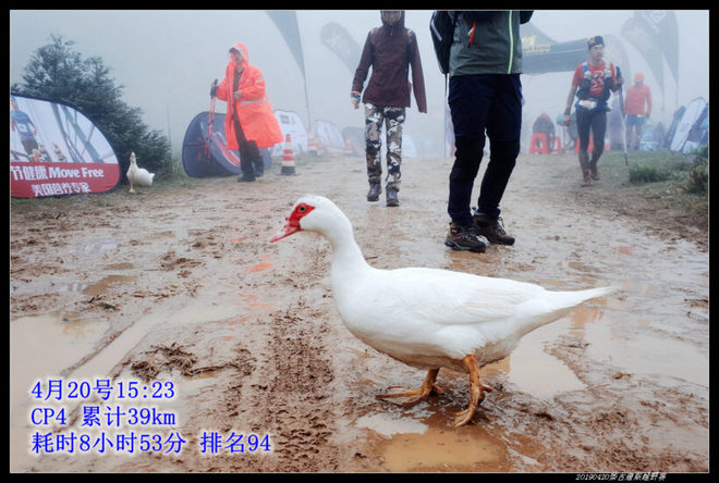 20190420柴古唐斯（括苍）80km越野赛