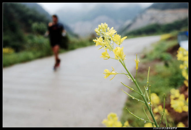 20190420柴古唐斯（括苍）80km越野赛