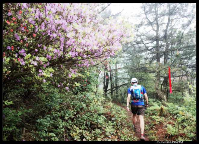 20190420柴古唐斯（括苍）80km越野赛