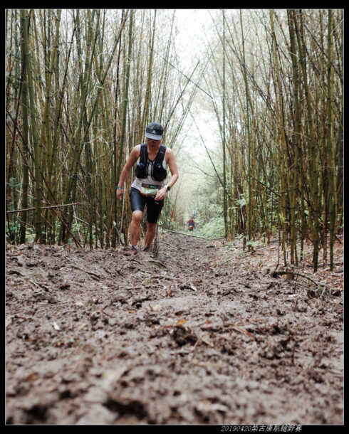 20190420柴古唐斯（括苍）80km越野赛