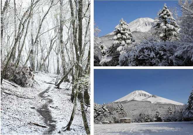 UTMF 完赛参考（2019）