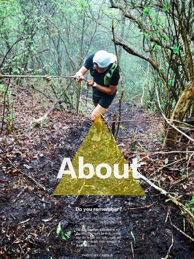 柴古唐斯｜远方的天空下