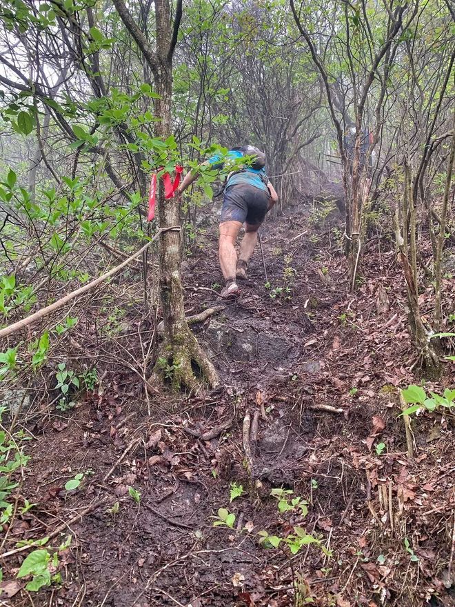 柴古唐斯｜远方的天空下