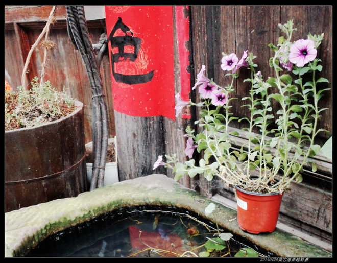 20190420柴古唐斯（括苍）80km越野赛