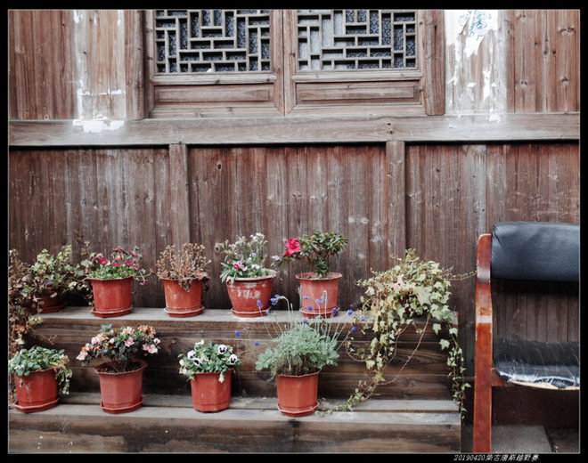 20190420柴古唐斯（括苍）80km越野赛