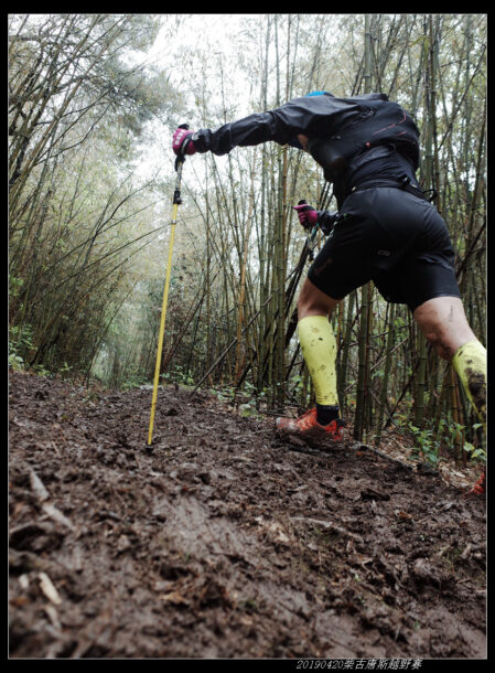 20190420柴古唐斯（括苍）80km越野赛