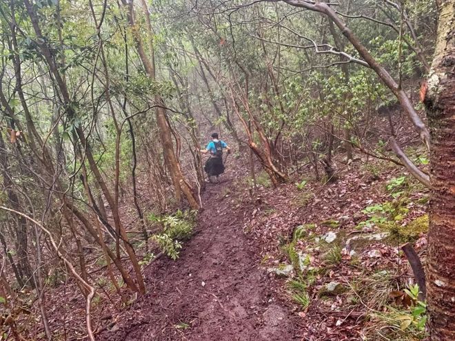 柴古唐斯｜远方的天空下