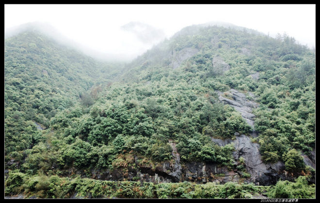 20190420柴古唐斯（括苍）80km越野赛