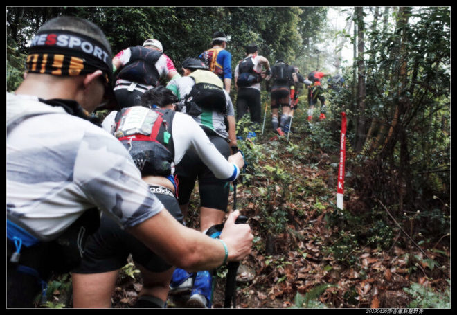20190420柴古唐斯（括苍）80km越野赛