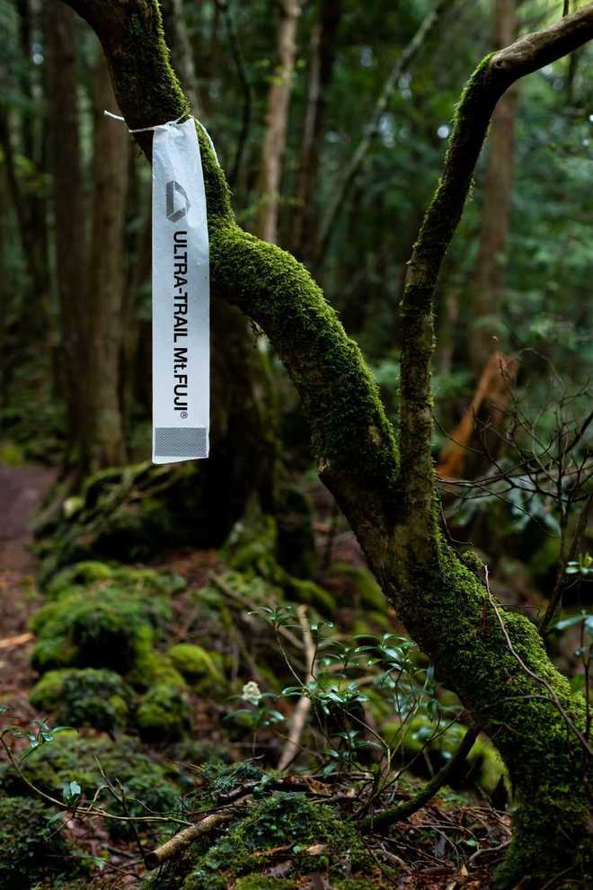 UTMF 完赛参考（2019）