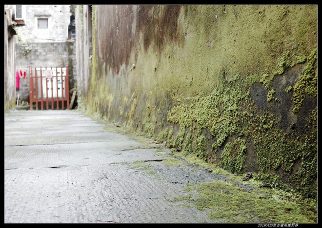 20190420柴古唐斯（括苍）80km越野赛