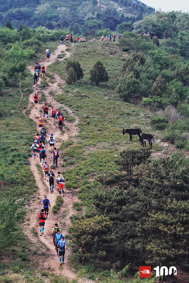 向山的野望丨TNF100北京24小时