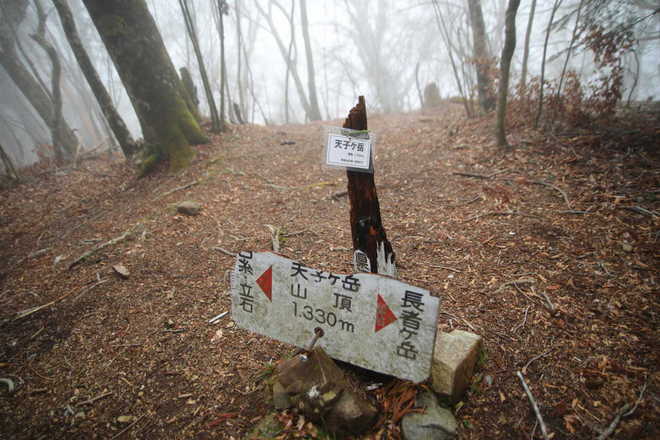 UTMF 完赛参考（2019）