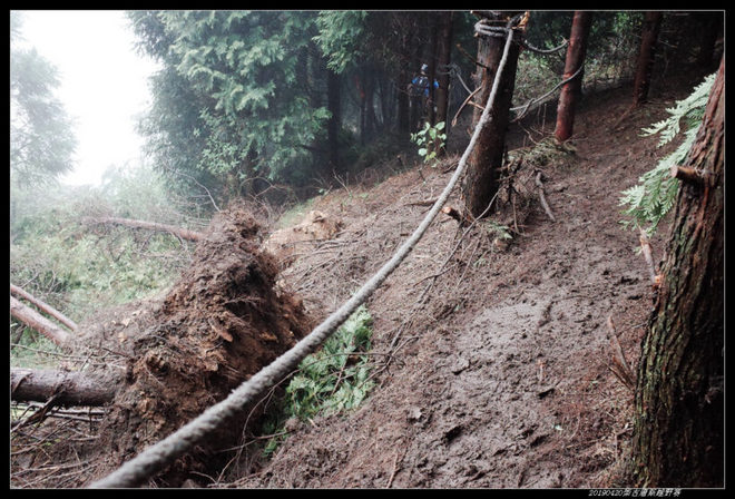20190420柴古唐斯（括苍）80km越野赛