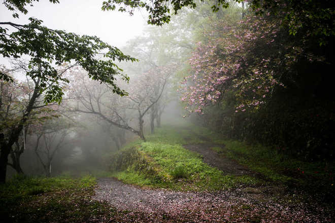UTMF 完赛参考（2019）