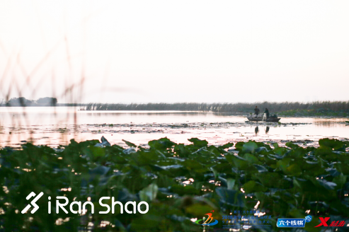 衡马升级国际金标！国内马拉松金标赛事再添一员！