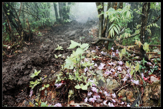 20190420柴古唐斯（括苍）80km越野赛