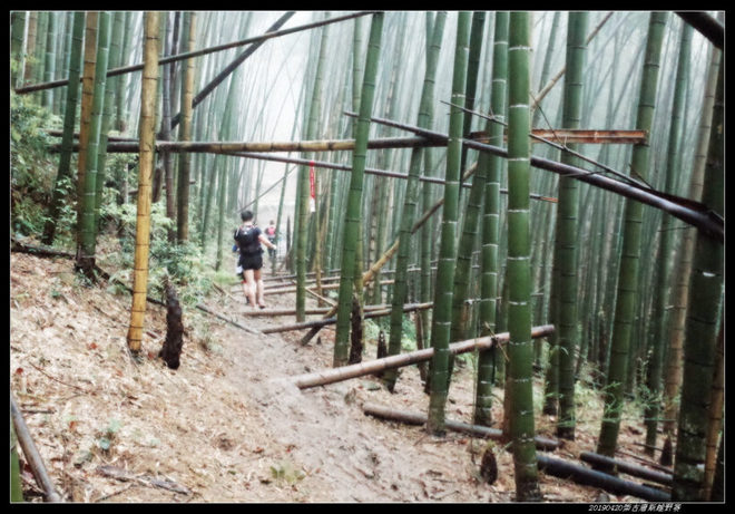 20190420柴古唐斯（括苍）80km越野赛