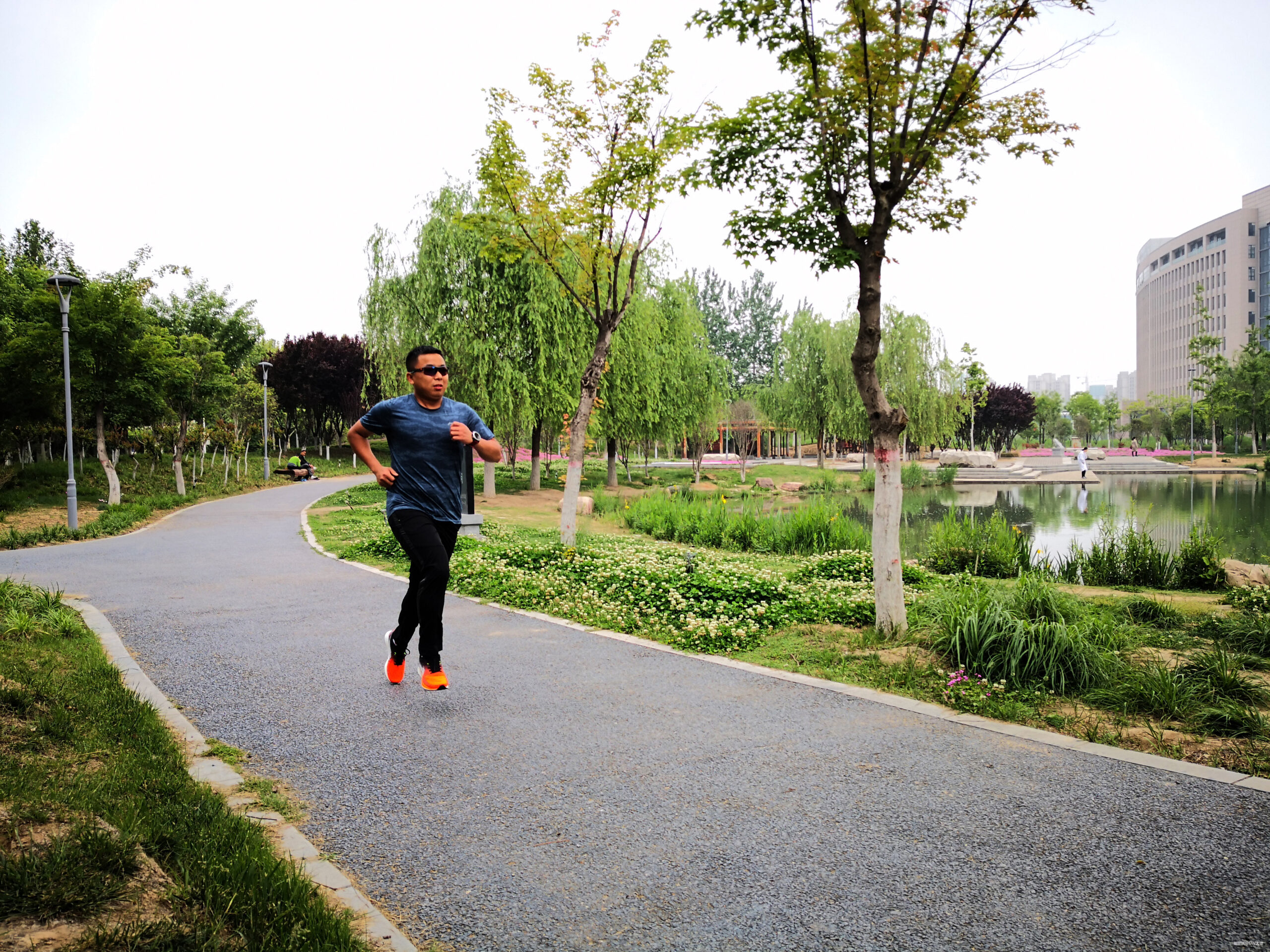 脱影而出，鞋中赤兔丨2019李宁赤兔四代跑鞋测评