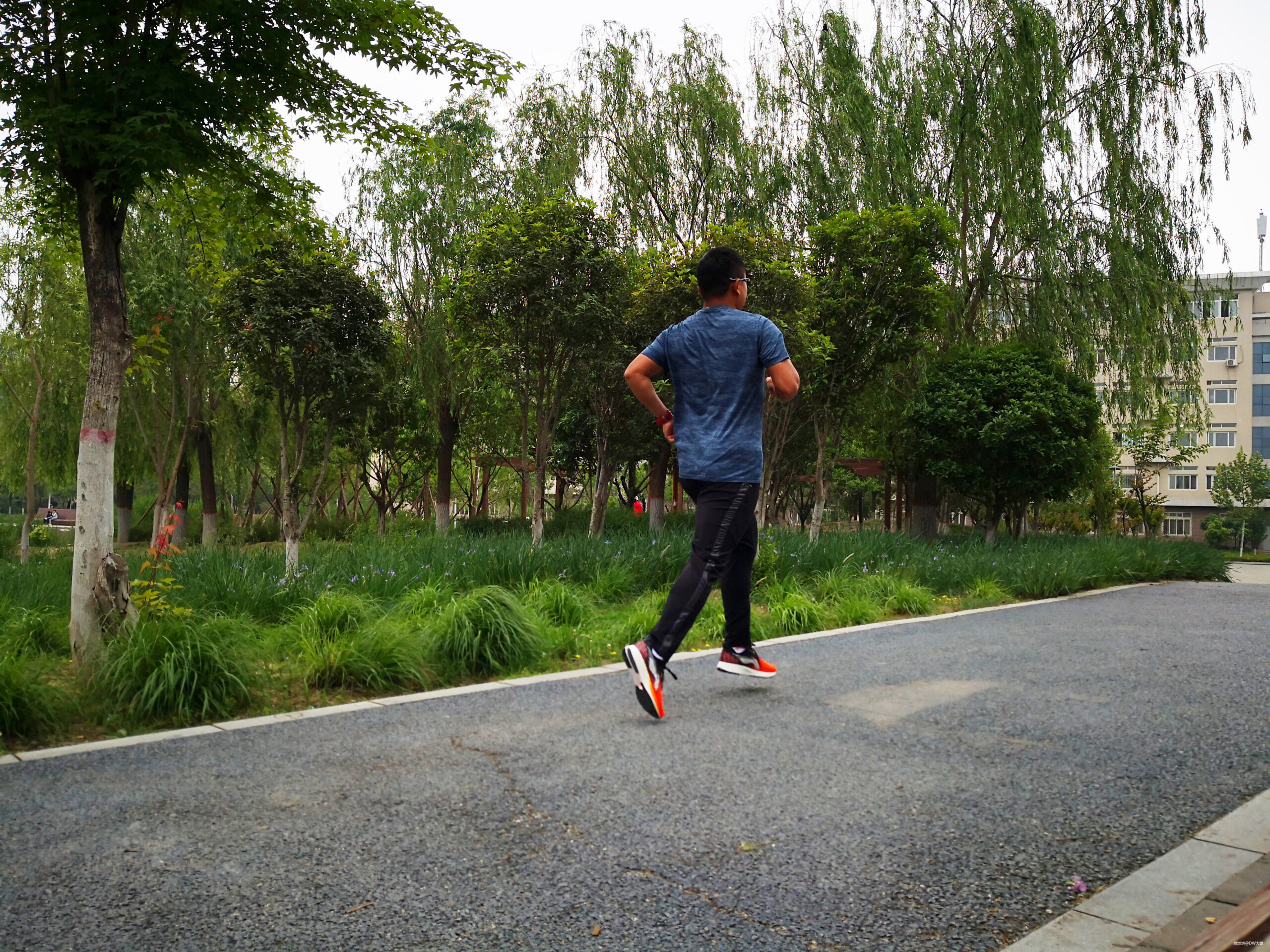 脱影而出，鞋中赤兔丨2019李宁赤兔四代跑鞋测评