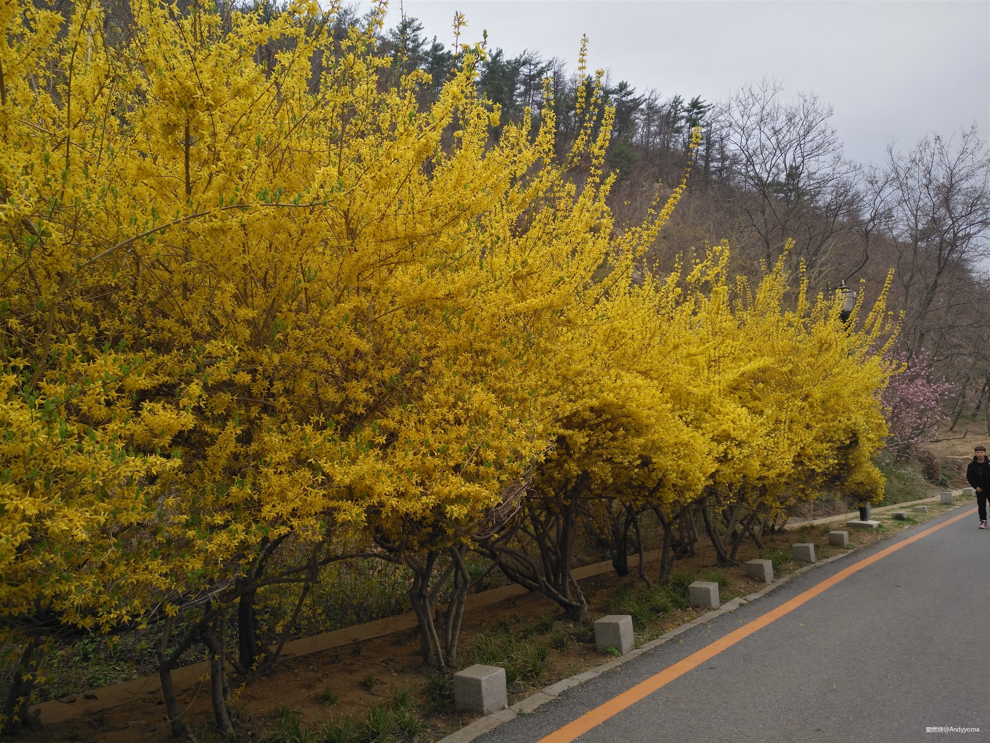 2019 大连一百 – 再踏征途