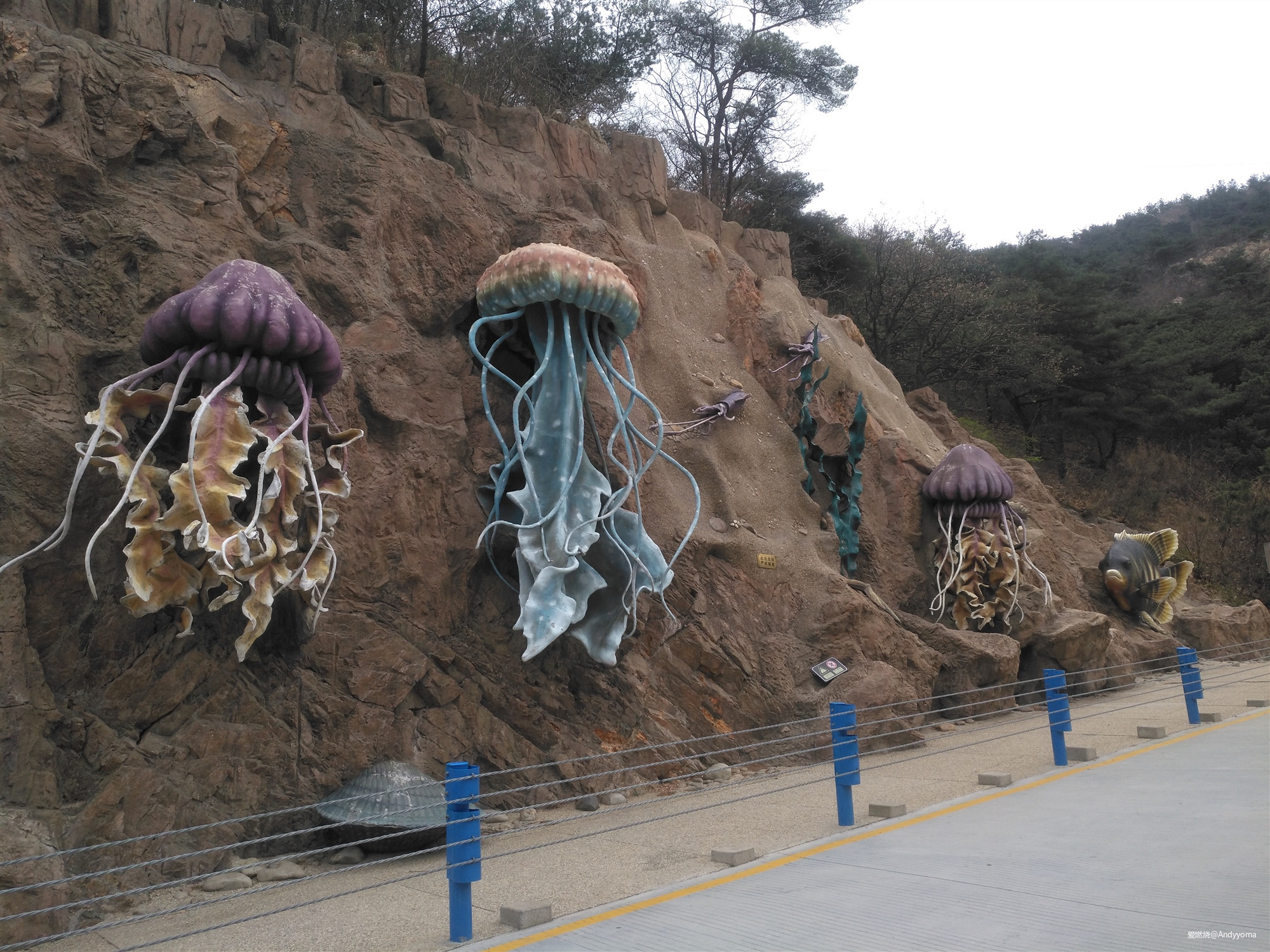 2019 大连一百 – 再踏征途