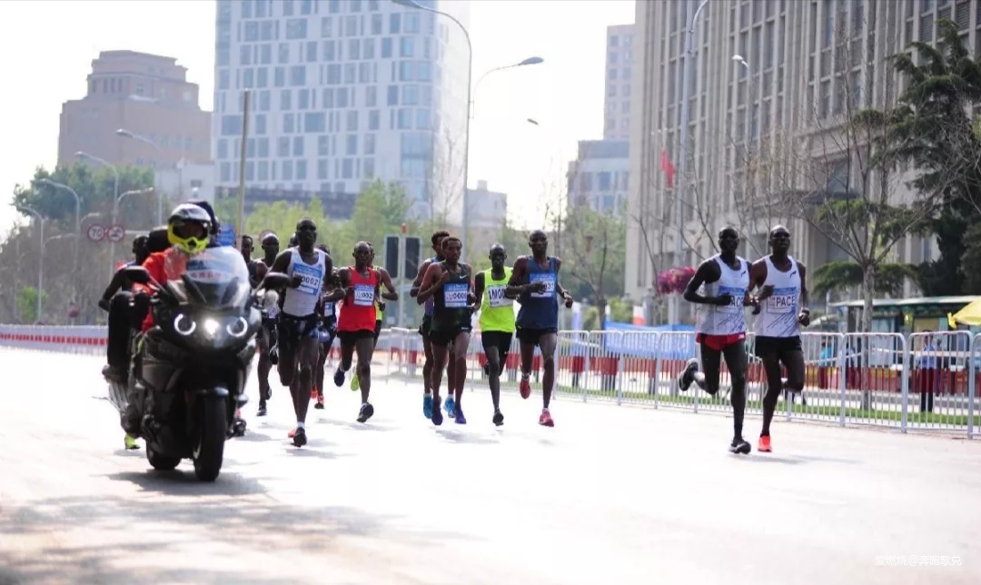 大马，盘它！ ——2019大连马拉松跑记