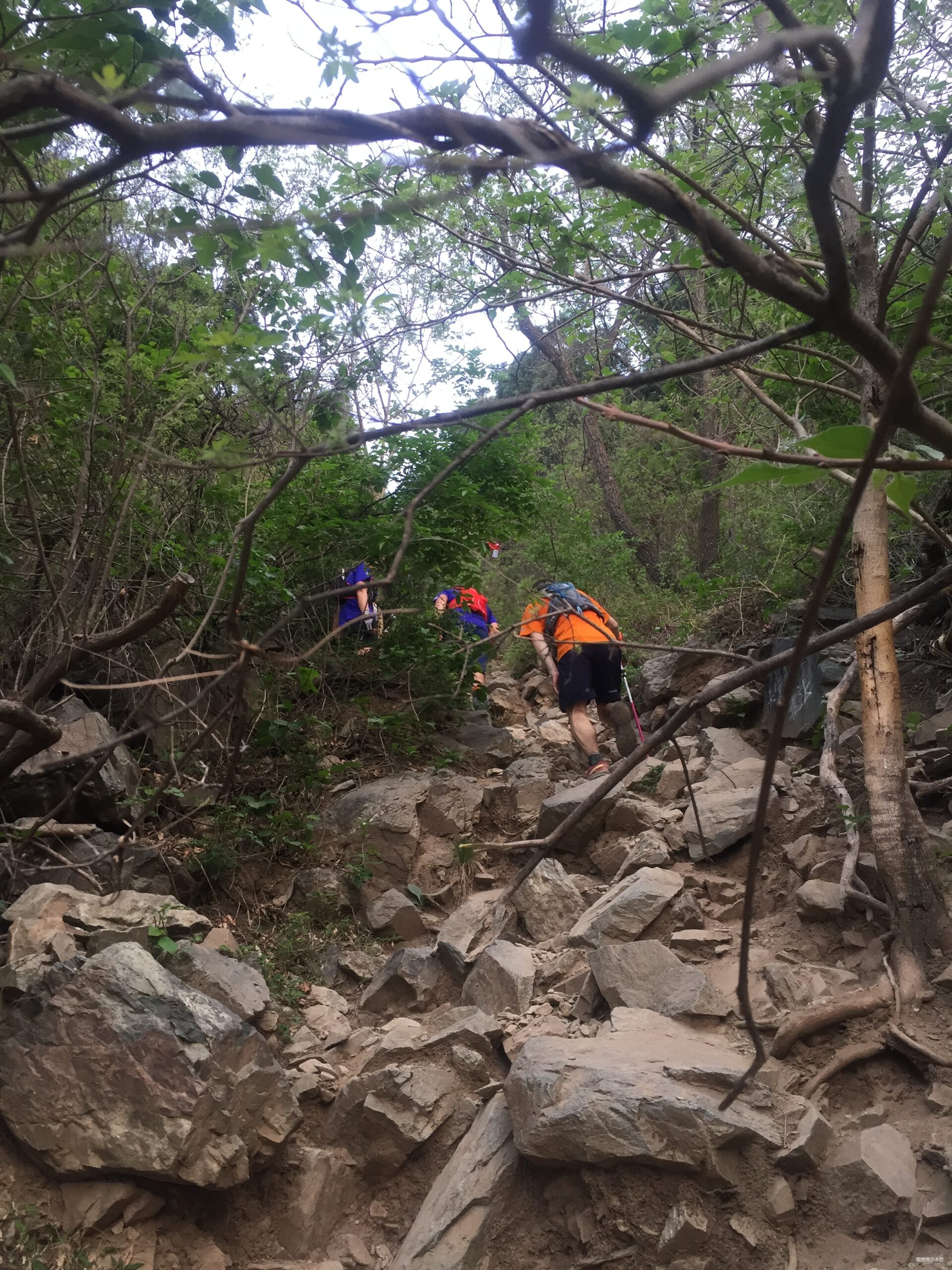 跑过黑夜——2019北京TNF100赛记