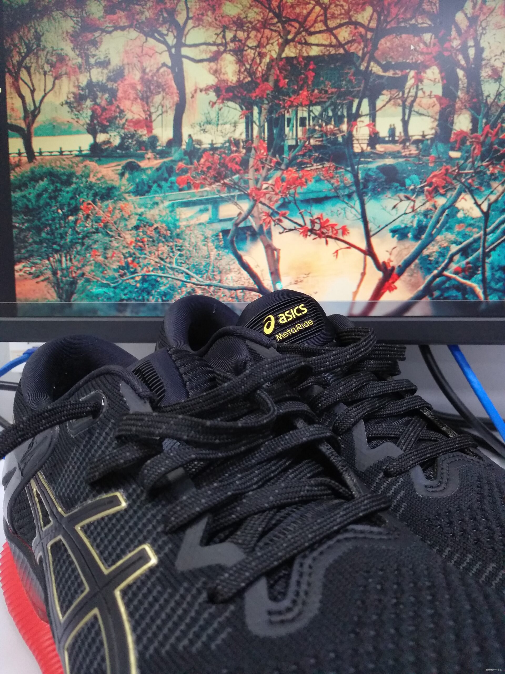 龙泉探野 死线集结 心火不灭 无冬不越