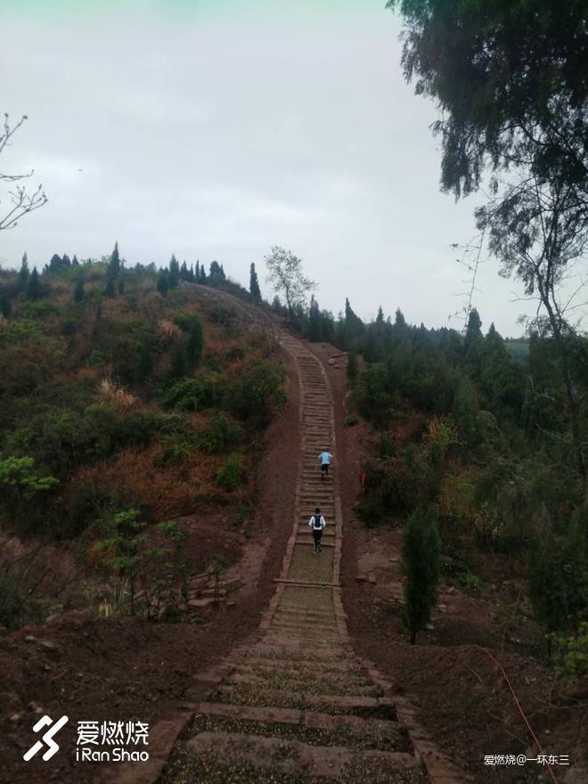 龙泉探野 死线集结 心火不灭 无冬不越