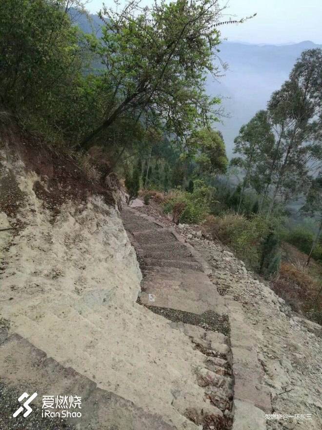 龙泉探野 死线集结 心火不灭 无冬不越