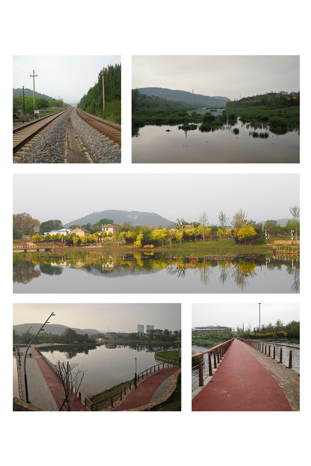 首个大马献给妈妈—2019大连马拉松记录