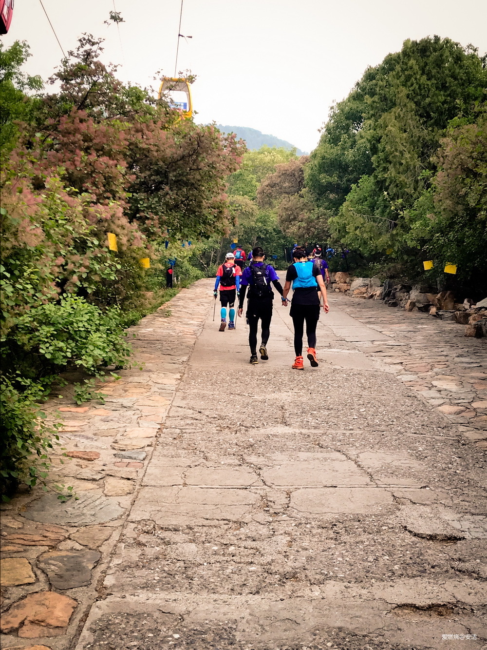 零点出发，正午到达——2019北京TNF100