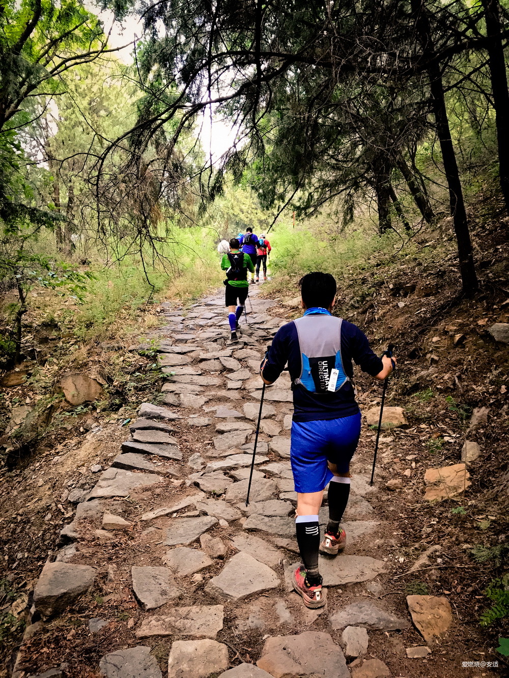 零点出发，正午到达——2019北京TNF100