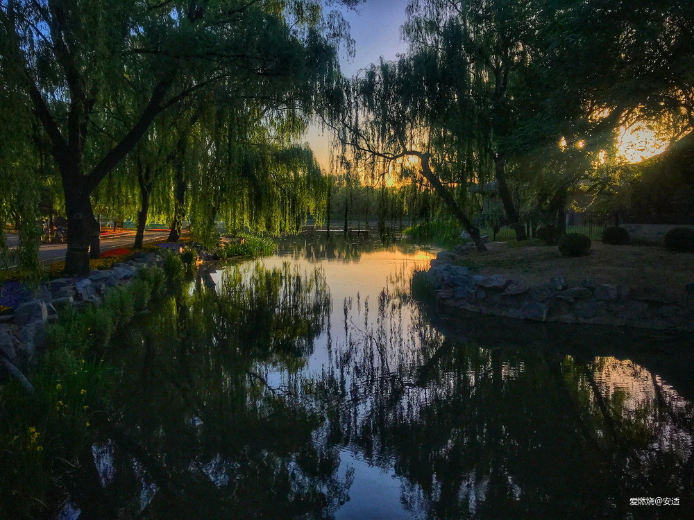 零点出发，正午到达——2019北京TNF100