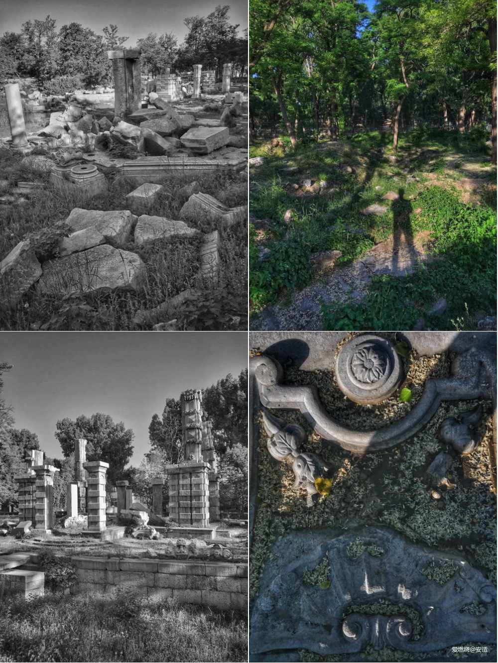 零点出发，正午到达——2019北京TNF100