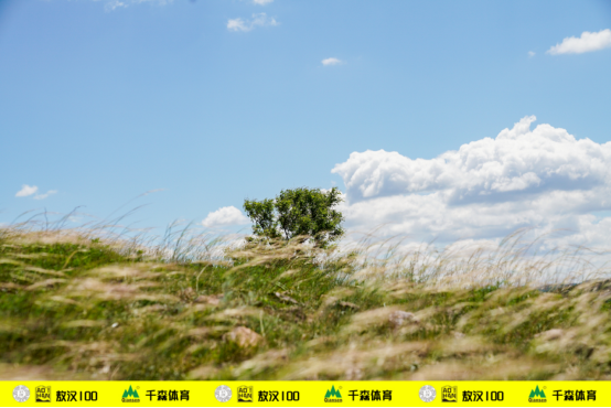 2019“蒙古马杯”千森敖汉100国际超级越野跑精彩落幕