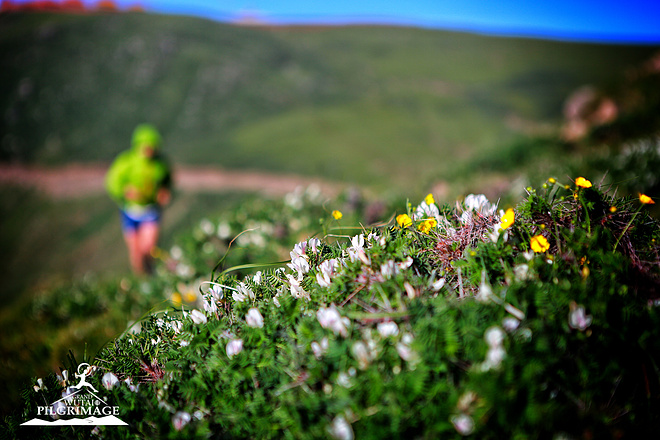 2019大五朝台现场深度报道