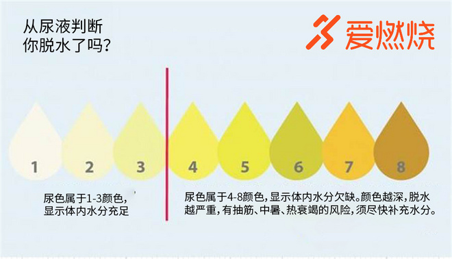 跑步时你真的会补水吗？