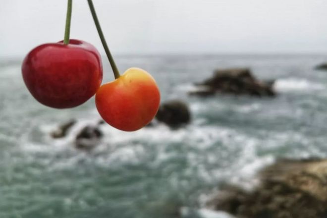 越过山丘，在大连