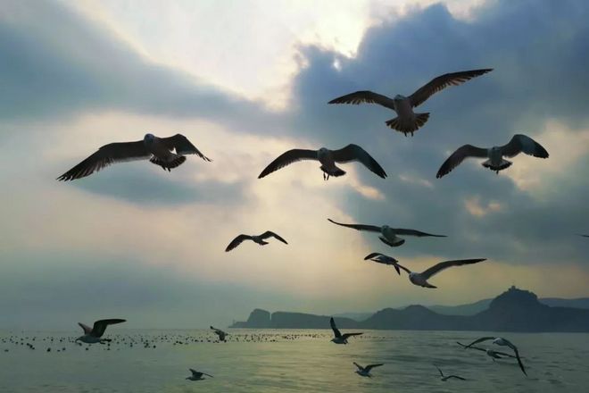 越过山丘，在大连