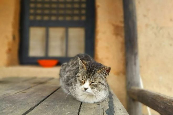 越过山丘，在大连