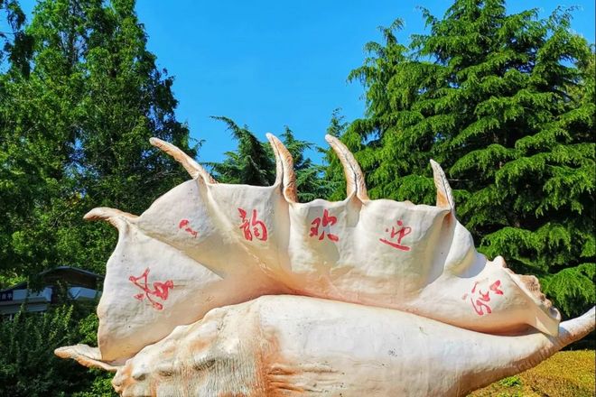 越过山丘，在大连