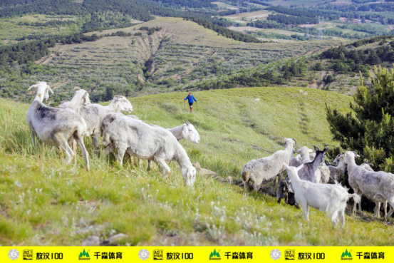 2019“蒙古马杯”千森敖汉100国际超级越野跑精彩落幕