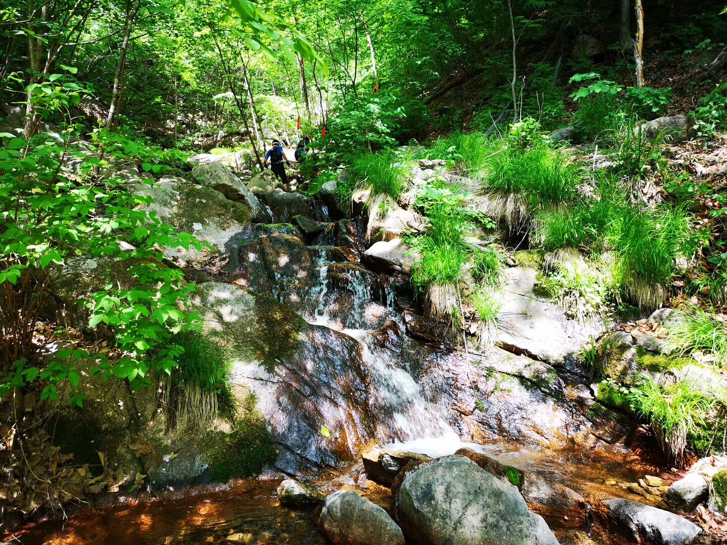 一次就好，天荒地老——2019大陶巴图鲁关东越野赛关门山壹佰赛记