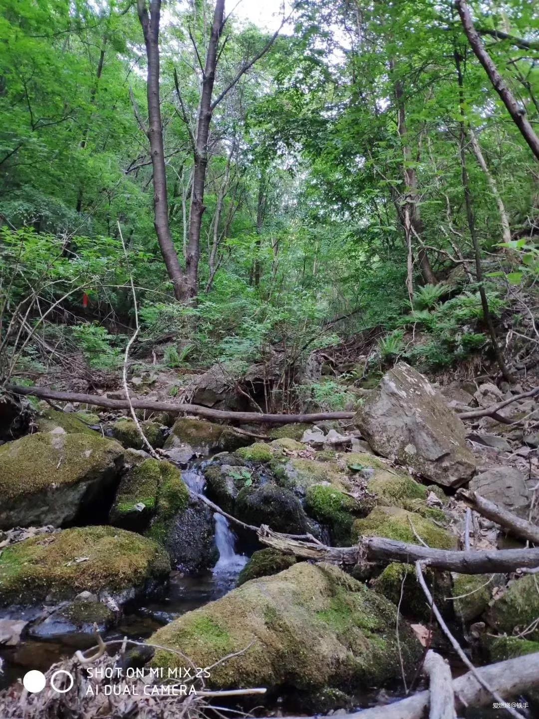 丛林中的穿越·再战关门山