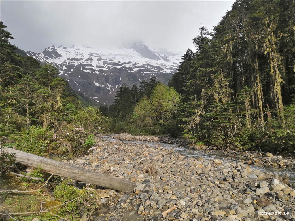 红衣穿越200里，依杖轻歌梅里行 高龄跑渣渣梅里MEM101流水赛记