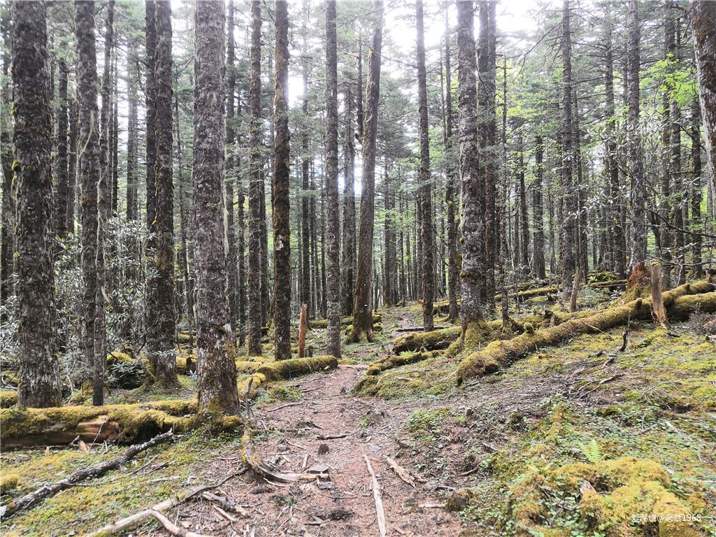 红衣穿越200里，依杖轻歌梅里行 高龄跑渣渣梅里MEM101流水赛记