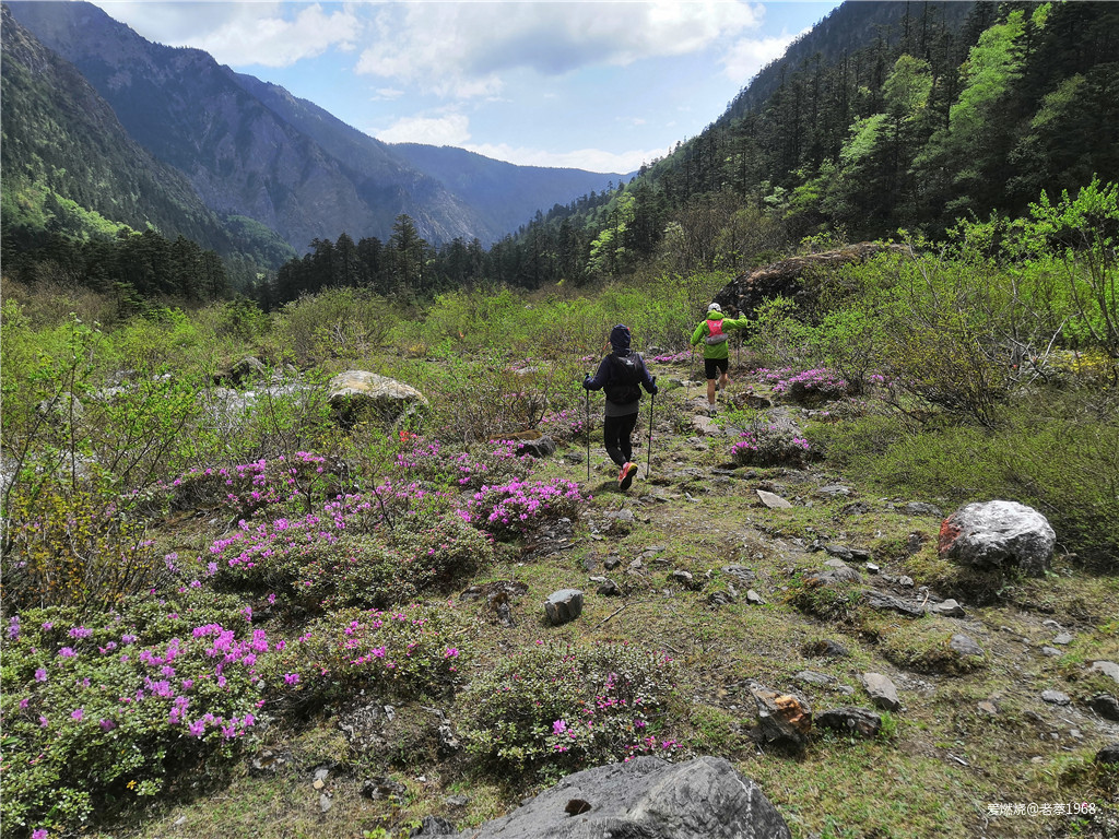 红衣穿越200里，依杖轻歌梅里行 高龄跑渣渣梅里MEM101流水赛记