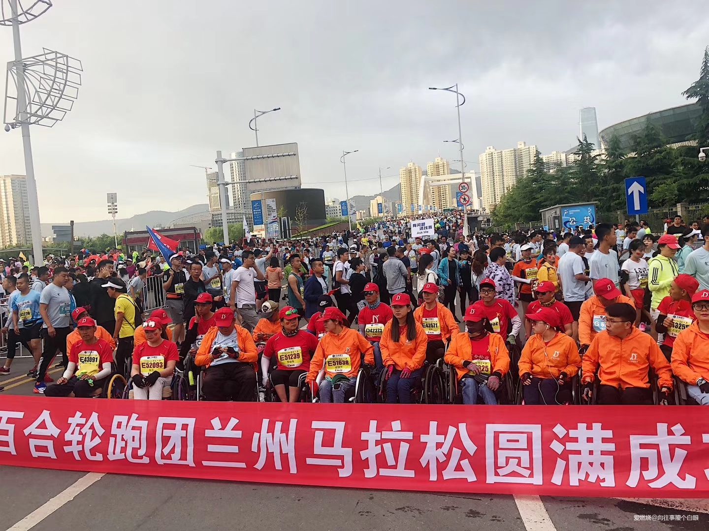 三顾兰马——只为一清二白三红四绿